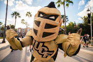Knightro Thumbs Up